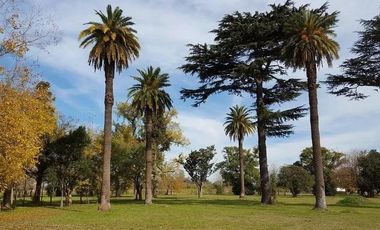 Terreno en venta - 450mts2 - Longchamps, Almirante Brown