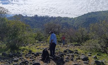 PARCELAS DE AGRADO DE 5.000M2