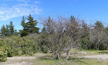 PARCELAS DE AGRADO DE 5.000M2