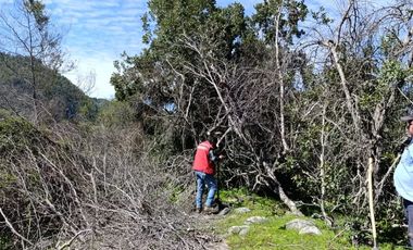 PARCELAS DE AGRADO DE 5.000M2