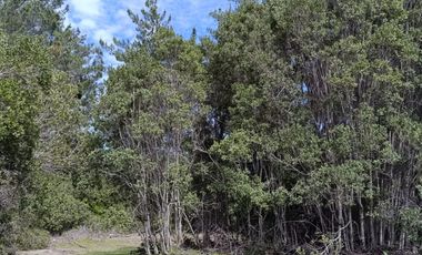 PARCELAS DE AGRADO DE 5.000M2