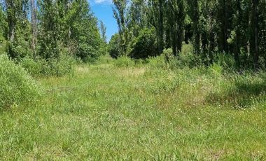 TERRENO ESCRITURADO 782 M2 LOTE 39 BARRIO CERRADO ESTANCIA LA CATALINA ROLDAN