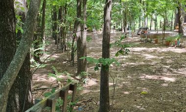 TERRENO ESCRITURADO 782 M2 LOTE 39 BARRIO CERRADO ESTANCIA LA CATALINA ROLDAN