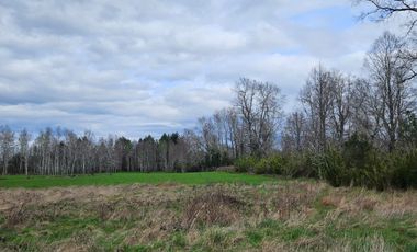 VENTA PARCELA 5000MTS Villarrica