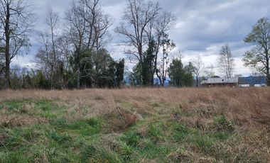 VENTA PARCELA 5000MTS Villarrica
