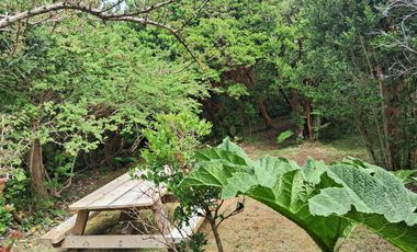 REBAJADA! Parcela 1 HA con Luz, Agua,  Cabaña y Baños
