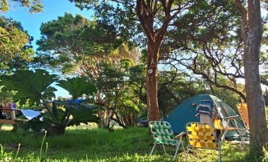 REBAJADA! Parcela 1 HA con Luz, Agua,  Cabaña y Baños