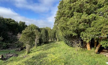 REBAJADA! Parcela 1 HA con Luz, Agua,  Cabaña y Baños