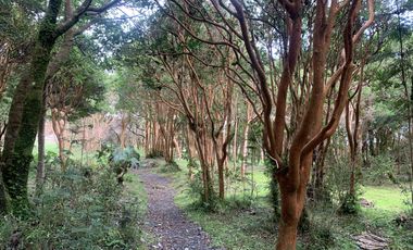 REBAJADA! Parcela 1 HA con Luz, Agua,  Cabaña y Baños