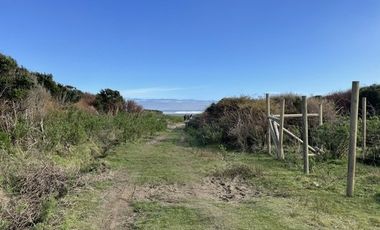 REBAJADA! Parcela 1 HA con Luz, Agua,  Cabaña y Baños