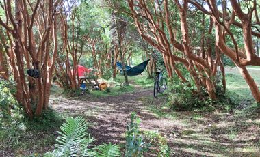 REBAJADA! Parcela 1 HA con Luz, Agua,  Cabaña y Baños