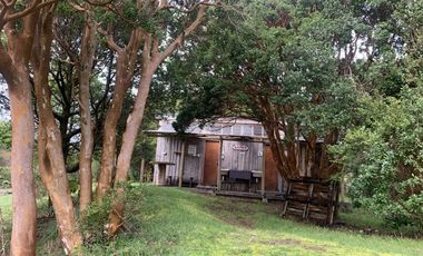 REBAJADA! Parcela 1 HA con Luz, Agua,  Cabaña y Baños