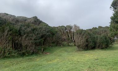 REBAJADA! Parcela 1 HA con Luz, Agua,  Cabaña y Baños