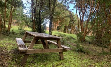 REBAJADA! Parcela 1 HA con Luz, Agua,  Cabaña y Baños