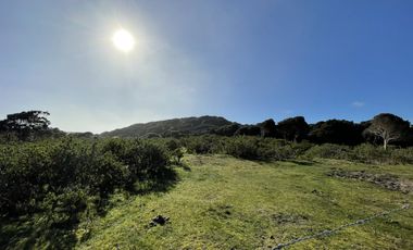 REBAJADA! Parcela 1 HA con Luz, Agua,  Cabaña y Baños