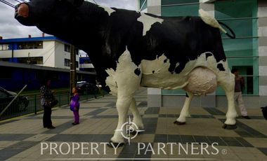 Oficina en Edificio Bicentenario