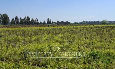 Gran terreno agrícola a minutos de Talca