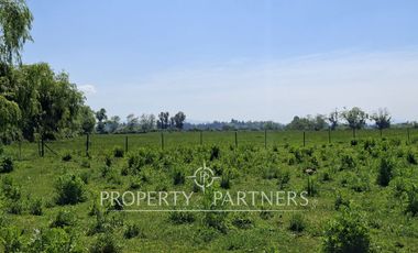 Gran terreno agrícola a minutos de Talca