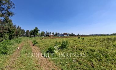 Gran terreno agrícola a minutos de Talca