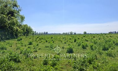 Gran terreno agrícola a minutos de Talca