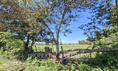 Gran terreno agrícola a minutos de Talca