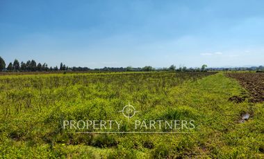 Gran terreno agrícola a minutos de Talca