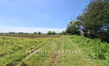 Gran terreno agrícola a minutos de Talca