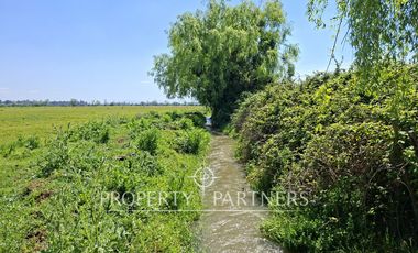 Gran terreno agrícola a minutos de Talca