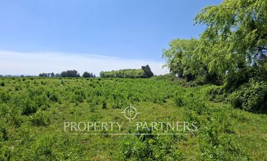 Gran terreno agrícola a minutos de Talca