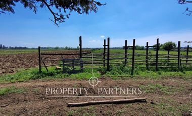 Gran terreno agrícola a minutos de Talca