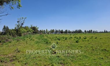 Gran terreno agrícola a minutos de Talca