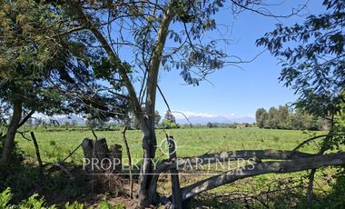 Gran terreno agrícola a minutos de Talca