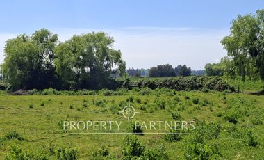 Gran terreno agrícola a minutos de Talca