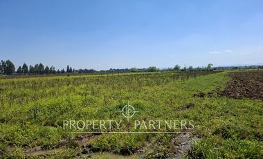 Gran terreno agrícola a minutos de Talca