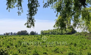 Gran terreno agrícola a minutos de Talca