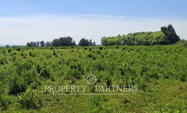 Gran terreno agrícola a minutos de Talca