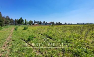 Gran terreno agrícola a minutos de Talca