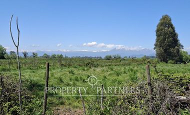 Gran terreno agrícola a minutos de Talca