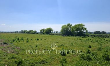 Gran terreno agrícola a minutos de Talca