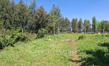 Gran terreno agrícola a minutos de Talca
