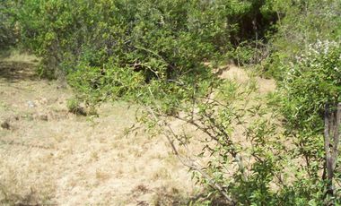 Parcela en Venta en -35.303111, -71.942333