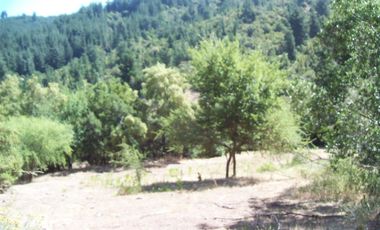 Parcela en Venta en -35.303111, -71.942333