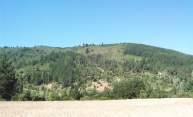 Parcela en Venta en -35.303111, -71.942333