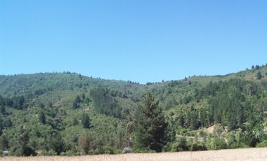 Parcela en Venta en -35.303111, -71.942333