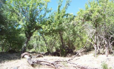 Parcela en Venta en -35.303111, -71.942333