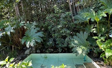 Sitio en Venta en dichato