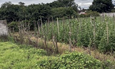 Terreno en Venta Natabuela Imbabura