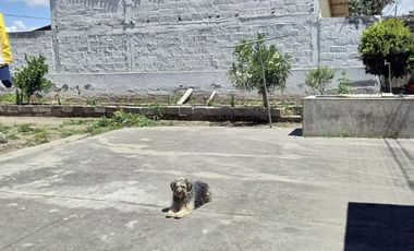 Terreno en Venta Natabuela Imbabura