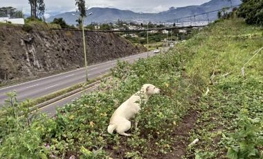 Terreno en Venta Natabuela Imbabura