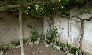 Bella casa en el quisco Norte